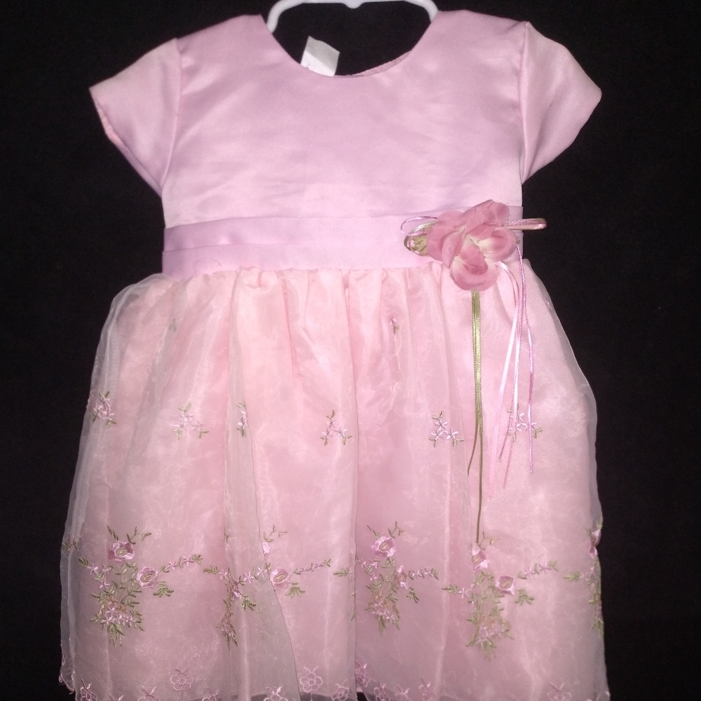 Little Girls Pink Embroidered Dress